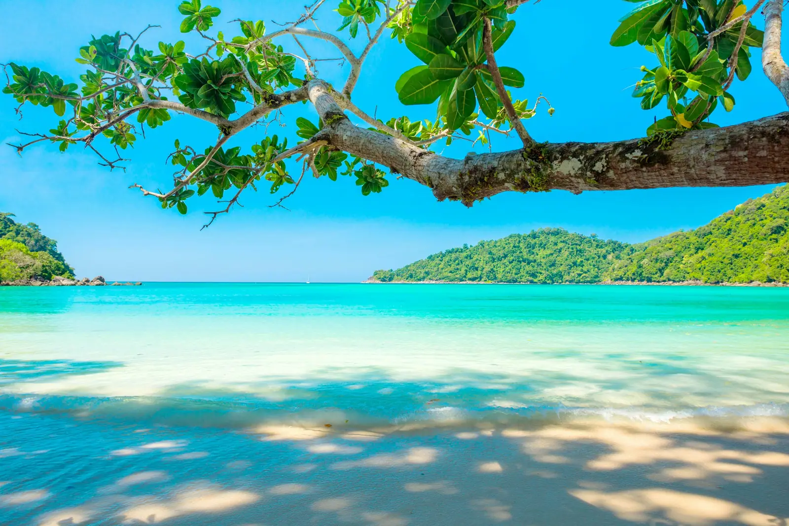 Karibischer Sandstrand mit türkisem Wasser